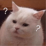 zhuang96的头像-cok论坛 - AGREE动漫游戏