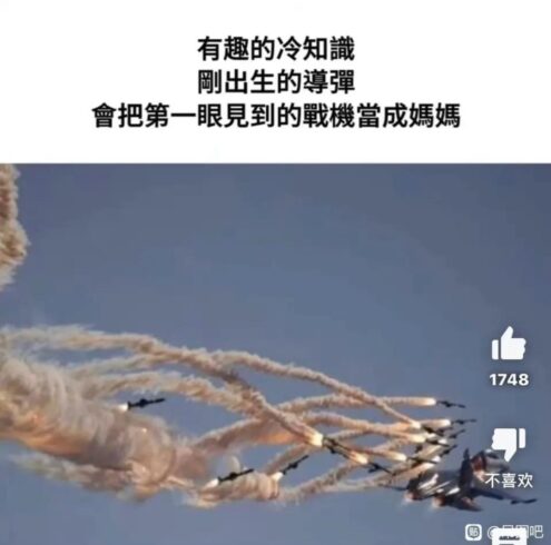 发点我收集的搞笑图水贴赚积分-cok论坛 - AGREE动漫游戏