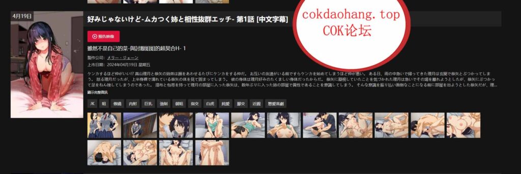 20240520155654998-5ecc4ffd16087811a3f12e51bb05dc9