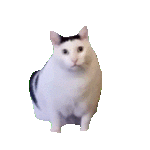 1234777q的头像-cok论坛 - AGREE动漫游戏