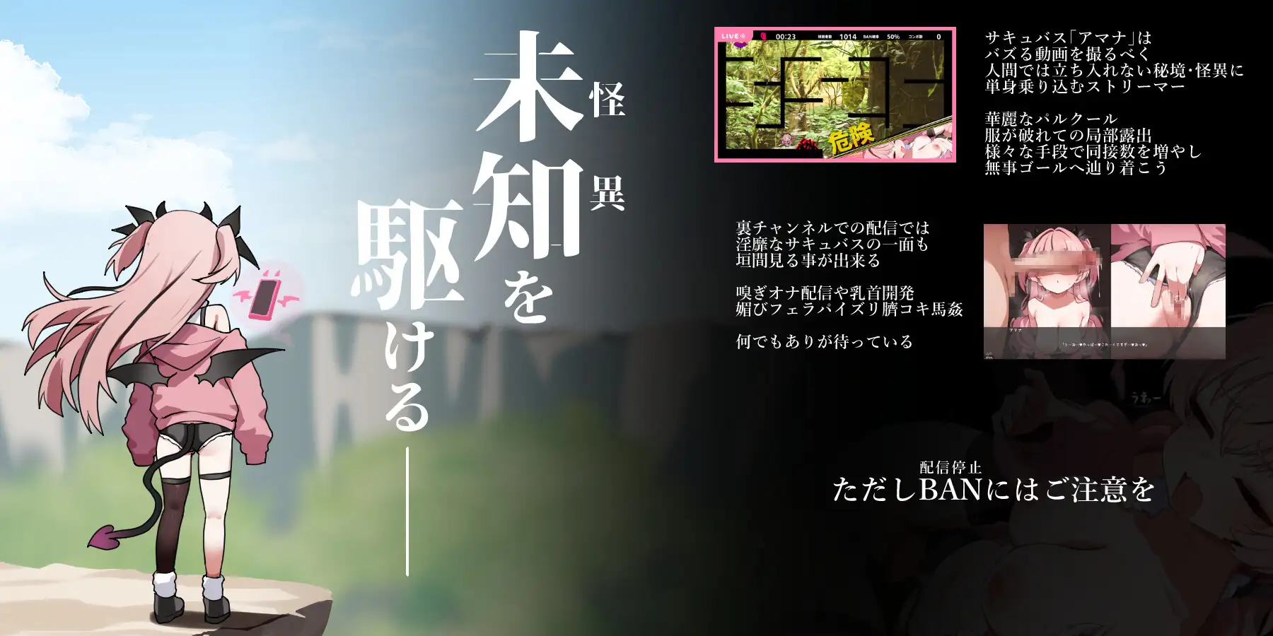 20250305214741521-RJ01307287_img_smp1