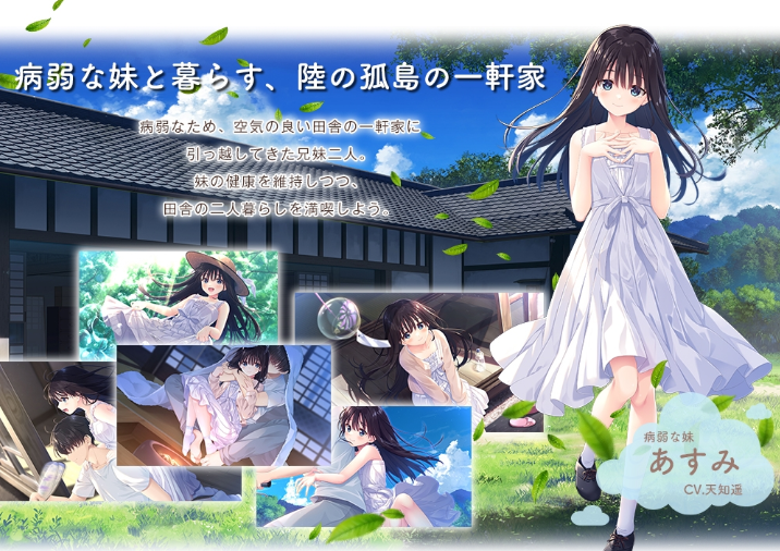【PC-RPG/官中/妹控】沉溺於熾熱愛情的鄉間隱居的兄長與,充滿古典韻味的病弱妹妹-cok论坛 - AGREE动漫游戏