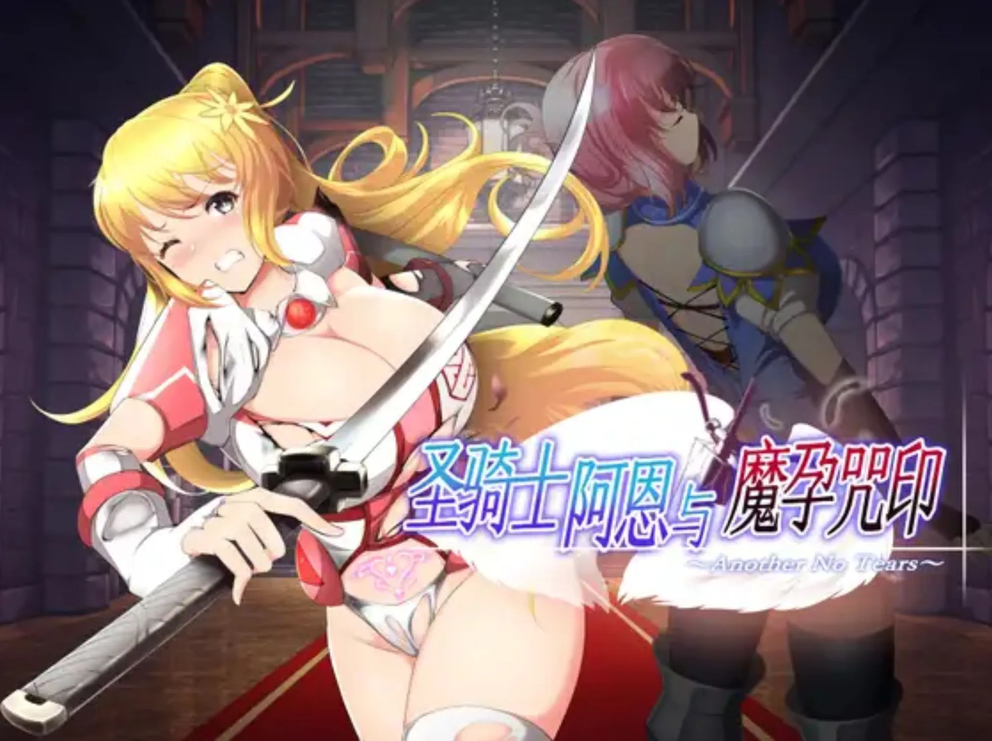 【PC-RPG/中文】圣骑士阿恩与魔孕咒印~Another No Tears 官方中文版【4.6G】-cok论坛 - AGREE动漫游戏