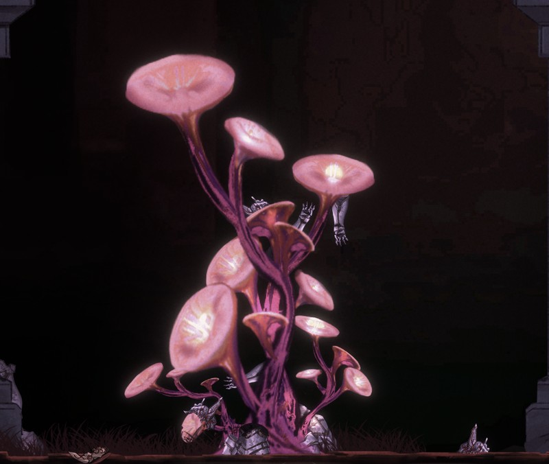 20250701000314907-image-800 (1)