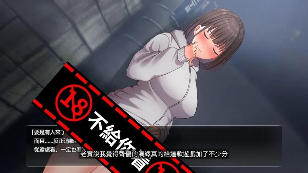 【PC-RPG中文/步兵/CV】 夜行 Night Stroll STEAM官方中文版+步兵DLC整合-cok论坛 - AGREE动漫游戏